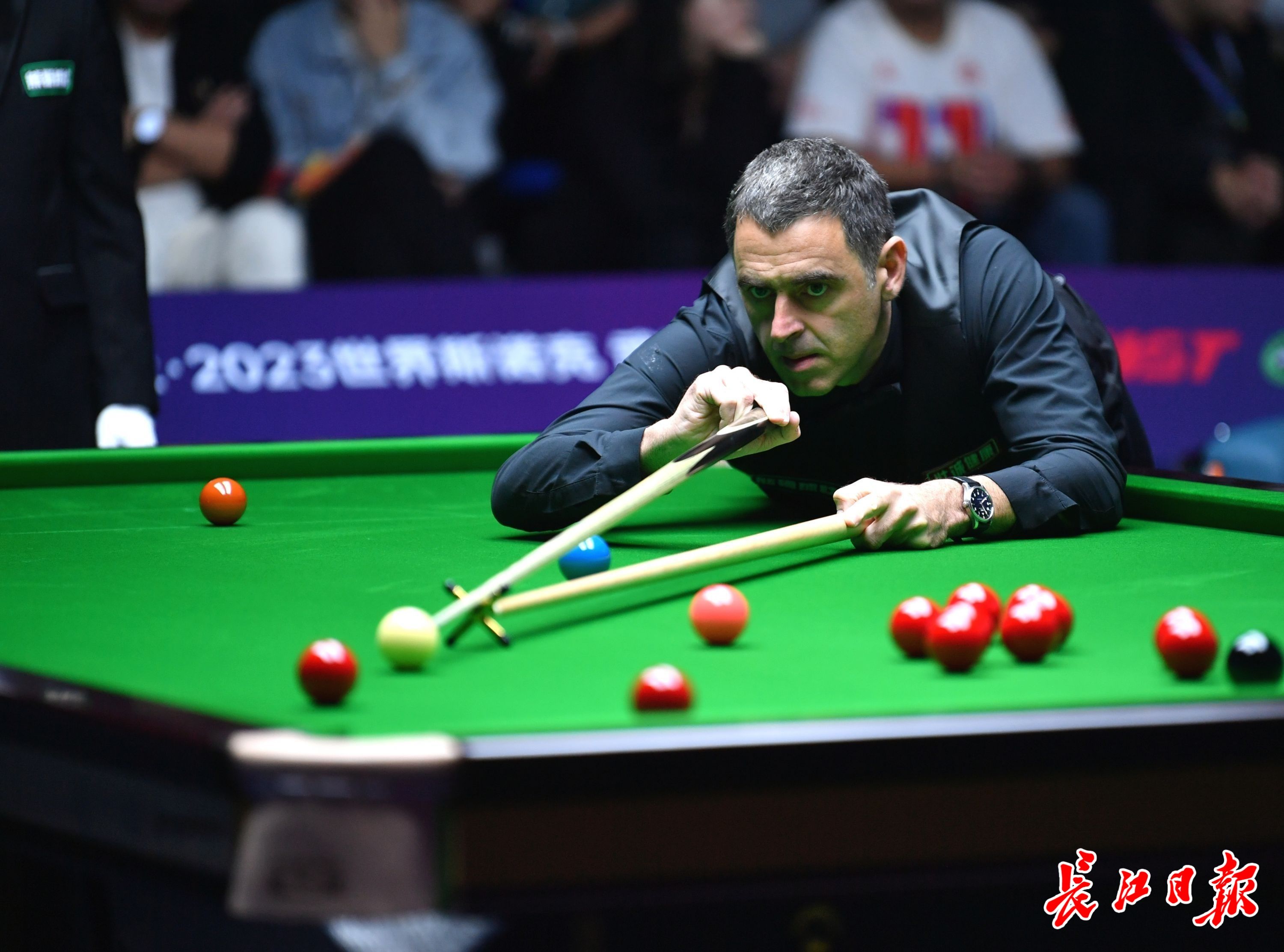 场馆布局 场馆布局