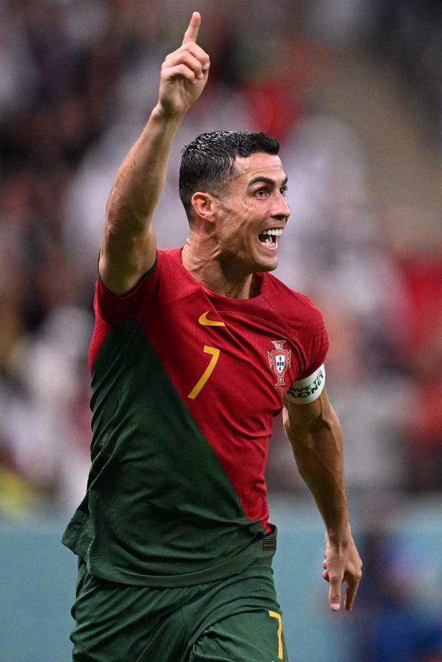 能补充民调 能补充民调